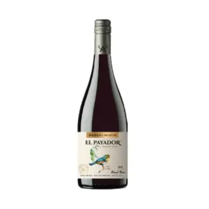 vinho tinto orgânico el payador pinot noir